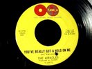 The MIRACLES You've Really Got A Hold On Me NORTHERN SOUL MOTOWN 45 Tamla HEAR