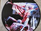 Cannibal Corpse - Tomb Of The Mutilated Anniversary Picture Disc Vinyl Lp Rare