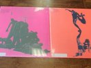 SIGUR ROS RSD '19 VARIATIONS ON DARKNESS & 22