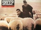 BLACK SHEEP - A Wolf In Sheep's Clothing - Vinyl (LP)
