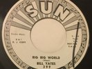 Sun 399 BILL YATES Big Big World/I Dropped My M & M's 45 wlp Memphis r&b rocker