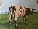 Pink Floyd Atom Heart Mother UK First Press A1G B1G Vinyl Ex Sleeve VG.