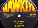 DESI ROOTS Weedfields / Mind Blowing Decisions 12