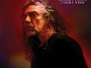 Robert Plant - Carry Fire vinyl LP NEW/SEALED IN STOCK