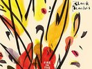 BLACK PEACHES-Fire In The Hole VINYL NEW