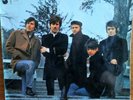 LP-  THE HOLLIES  =  EVOLUTION    ( HANSA RECORD - 76 307 IT )