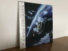 'Your Name' RADWIMPS Limited Edition LP Record Analog Japan Import NEW  F/S