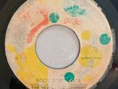 THE NEW ESTABLISHMENT - ROCK FORT ROCK - IRON SIDE ( REGGAE INST 7 )