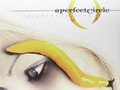PERFECT CIRCLE-THIRTEENTH STEP VINYL LP NEW