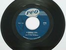 1967 Canada Garage Rock MG and The Escorts Someday Fool 45 rpm Record Fuzz Psych