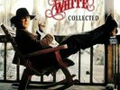 WHITE, Tony Joe - Collected - Vinyl (2xLP)