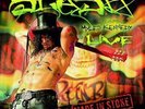 SLASH: MADE IN STOKE 24 -LTD [LP vinyl]