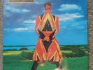 David Bowie Earthling vinyl