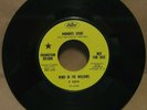 WIND IN THE WILLOWS Uptown Girl / Moments Spent (Debbie Harry/ Blondie)  MINT-