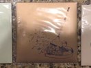 Avett Brothers Guild Fan Club Exclusive 7 Inch Vinyl 2016 2017 & 2018