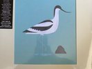 BERT JANSCH - Avocet - 2016 RE-ISSUE LP VINYL MINT