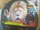 Born Free 12