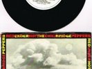 RARE UK PROMO release 1991 RED HOT CHILI PEPPERS Under The Bridge 7