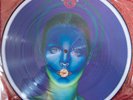 Fish (Marillion) - Lady Let It Lie - Picture Disc