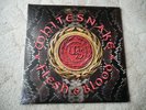 Whitesnake-Flesh & Blood,VINYL,NEU,Deep Purple,AC/DC,KISS,Black Sabbath