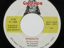 ASTIGAFA Wingnuts/Oh My Lady 7” 45 1974 Marshall Crenshaw, Michigan rock NM