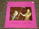 Joy Division A DARKNESS IN MY SOUL 1990 Italian Import 2 LP Color Marbled Vinyl