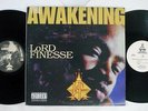 LORD FINESSE AWAKENING PENALTY PREPV3035 US VINYL 2LP
