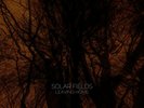 Solar Fields - Leaving Home BROWN BLACK MARBLE COLOR Vinyl 2xLP 1st Pressing NEW