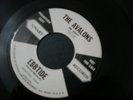 THE AVALONS HEARTS DESIRE 45 RECORD PROMO EBB TIDE NM