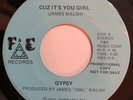 James Walsh Gypsy 