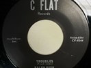 RALPH BUSH AND THE BUSHWACKERS 45 rpm Troubles My Eyes Don't Cry C FLAT CF-8544