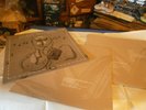 Orbital - Snivilisation - orig. 1994 vinyl 2LP (TRULP5) EX, with RARE art print