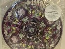 UK Pic LP  Roky Erickson And The Explosives/Casting The Runes  Free Shipping