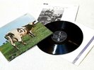 Pink Floyd 