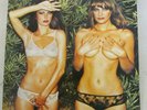 ROXY MUSIC / BRYAN FERRY 