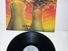 NUCLEAR ASSAULT Survive LP 1988 Speed Thrash Metal IRS-42195 picture/lyrics slv