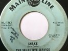 Mod Garage 45/ Selective Service 