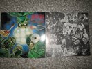 Autopsy - Severed Survival - LP (orig. Peaceville 1990 )
