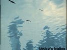 Birds Of A Feather Spontaneous Music Ensemble French vinyl LP album record