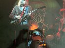 Neil Young & Crazy Horse WINTERLONG, weißes Vinyl, The Swinging Pig Records