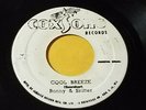 BUNNY &SKITTER -COOL BREEZE/DELROY WILSON RIDING FOR A FALL/COXSONE 45