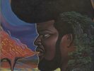 A Message To The People Buddy Miles vinyl LP album record UK 6338048 MERCURY