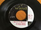 The Moving Sidewalks - What Are You Going To Do / 99th Floor - record