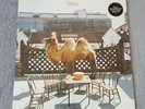 WILCO The Album LP NEW SEALED 180g includes CD Copy