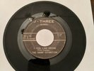 The Sound Extraction *SUPER RARE* 45rpm KY Garage Band. I feel like crying/Tina