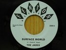 The Jades 45 Surface World bw We Got Something Going on Fenton Michigan garage