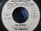 THE PRIMITIVES 