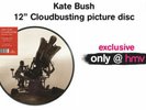 Kate Bush Cloudbusting 12” Vinyl Picture Disc 2019