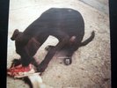 SLOWTHAI 'RUNT EP' 2018 LIMITED 12