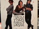 DREAM A LITTLE DREAM SOUNDTRACK vinyl LP 1989 RARE